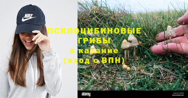 ГАЛЛЮЦИНОГЕННЫЕ ГРИБЫ Алзамай