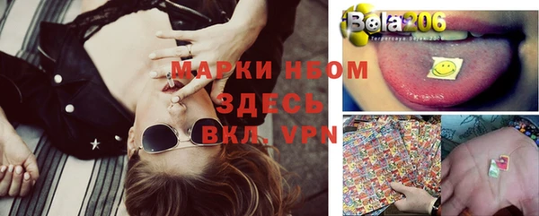 ГАЛЛЮЦИНОГЕННЫЕ ГРИБЫ Алзамай