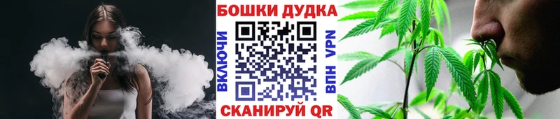 Канабис семена  как найти наркотики  Лермонтов 